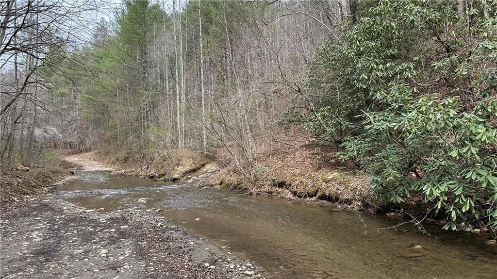 Unimproved Land at TBD Darnell Creek Road, Millers Creek NC 28651, photo 16 of 40