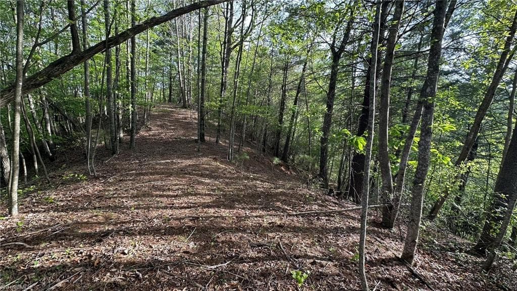 Unimproved Land at TBD Darnell Creek Road, Millers Creek NC 28651, photo 36 of 40