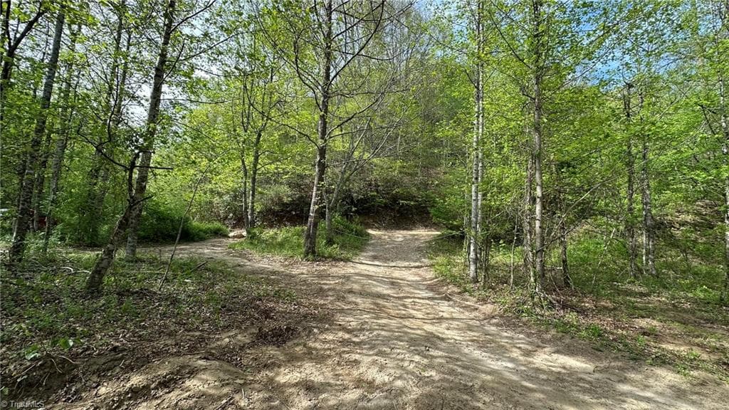 Unimproved Land at TBD Darnell Creek Road, Millers Creek NC 28651, photo 5 of 40