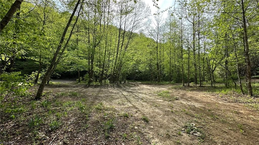 Unimproved Land at TBD Darnell Creek Road, Millers Creek NC 28651, photo 30 of 40