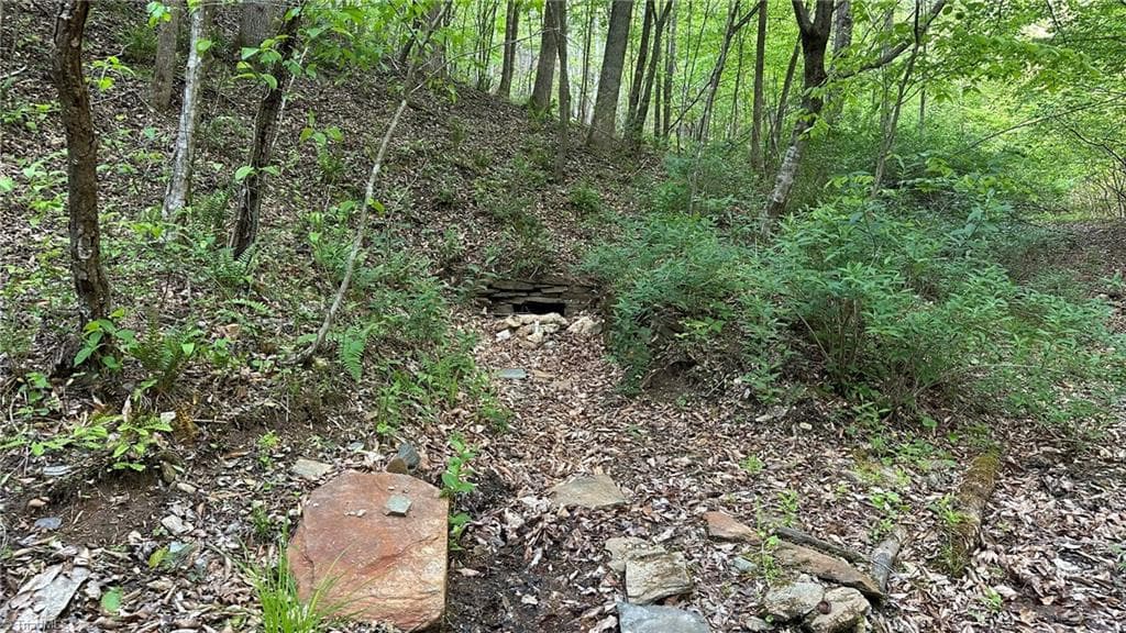 Unimproved Land at TBD Darnell Creek Road, Millers Creek NC 28651, photo 34 of 40