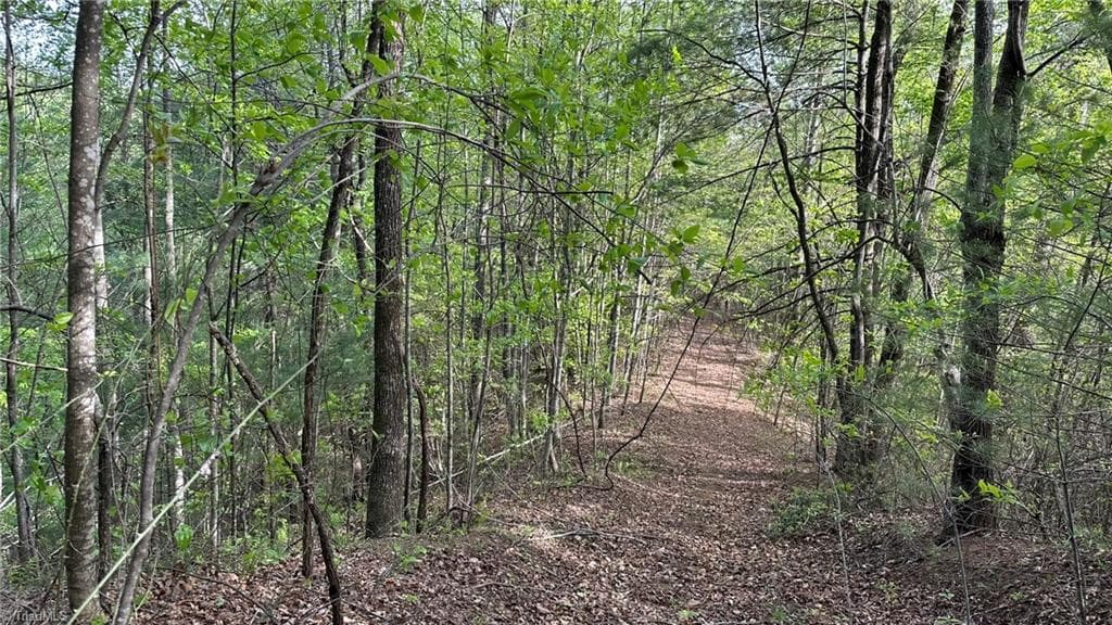 Unimproved Land at TBD Darnell Creek Road, Millers Creek NC 28651, photo 38 of 40