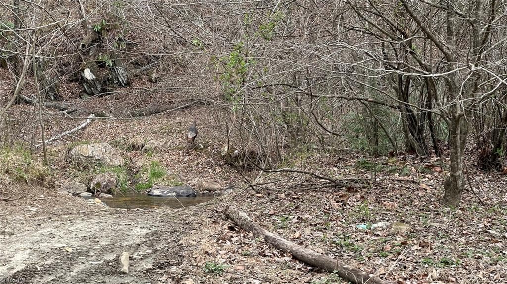 Unimproved Land at TBD Darnell Creek Road, Millers Creek NC 28651, photo 10 of 40