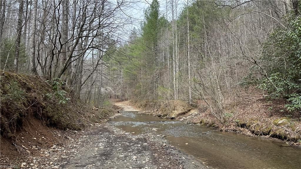 Unimproved Land at TBD Darnell Creek Road, Millers Creek NC 28651, photo 11 of 40