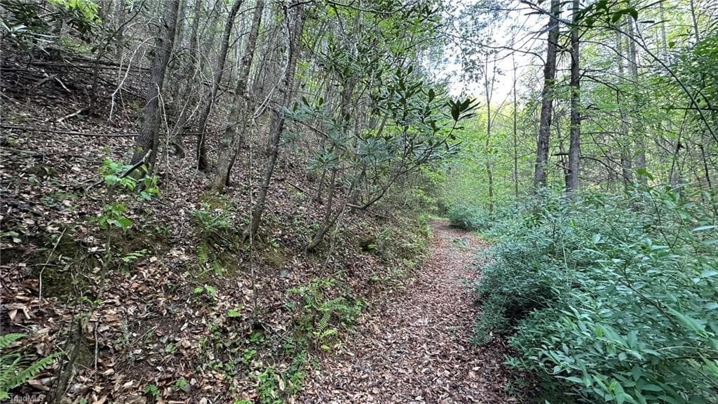 Unimproved Land at TBD Darnell Creek Road, Millers Creek NC 28651, photo 31 of 40