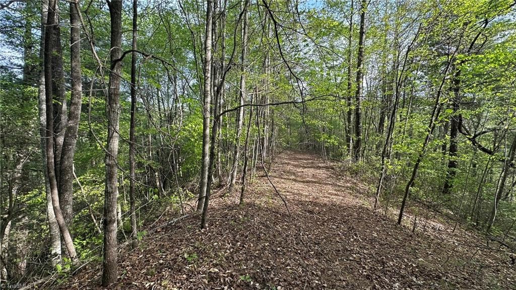 Unimproved Land at TBD Darnell Creek Road, Millers Creek NC 28651, photo 8 of 40