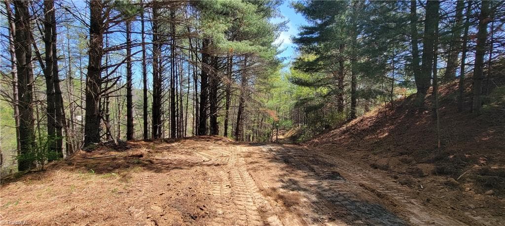 Unimproved Land at TBD (Lots 25/26/27) Miriam Way, Piney Creek NC 28663, photo 6 of 29