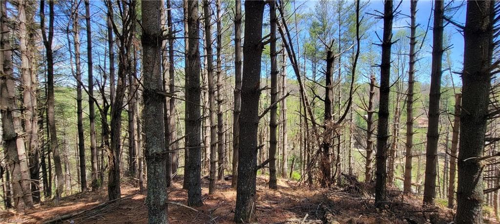 Unimproved Land at TBD (Lots 25/26/27) Miriam Way, Piney Creek NC 28663, photo 13 of 29