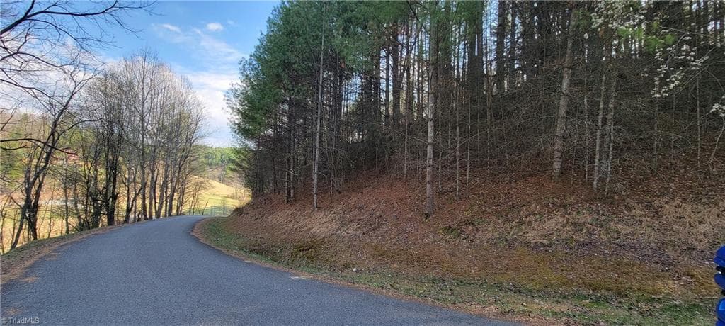 Unimproved Land at TBD (Lots 25/26/27) Miriam Way, Piney Creek NC 28663, photo 17 of 29