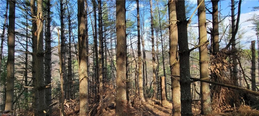 Unimproved Land at TBD (Lots 25/26/27) Miriam Way, Piney Creek NC 28663, photo 12 of 29