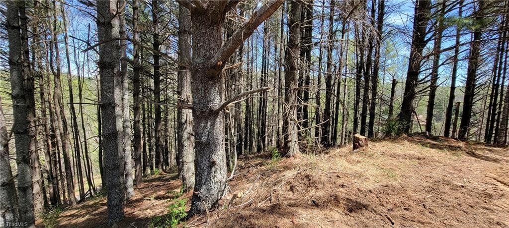 Unimproved Land at TBD (Lots 25/26/27) Miriam Way, Piney Creek NC 28663, photo 7 of 29