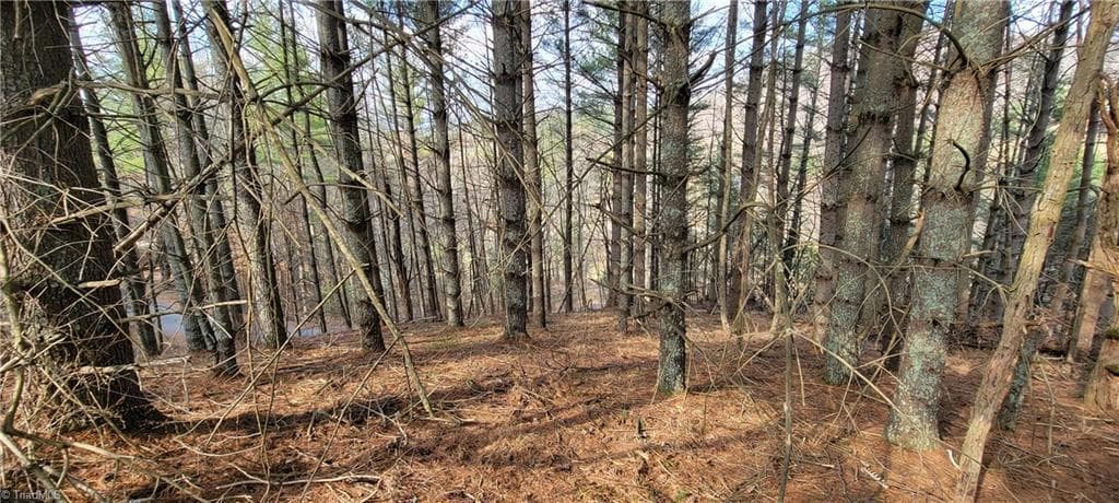 Unimproved Land at TBD (Lots 25/26/27) Miriam Way, Piney Creek NC 28663, photo 9 of 29