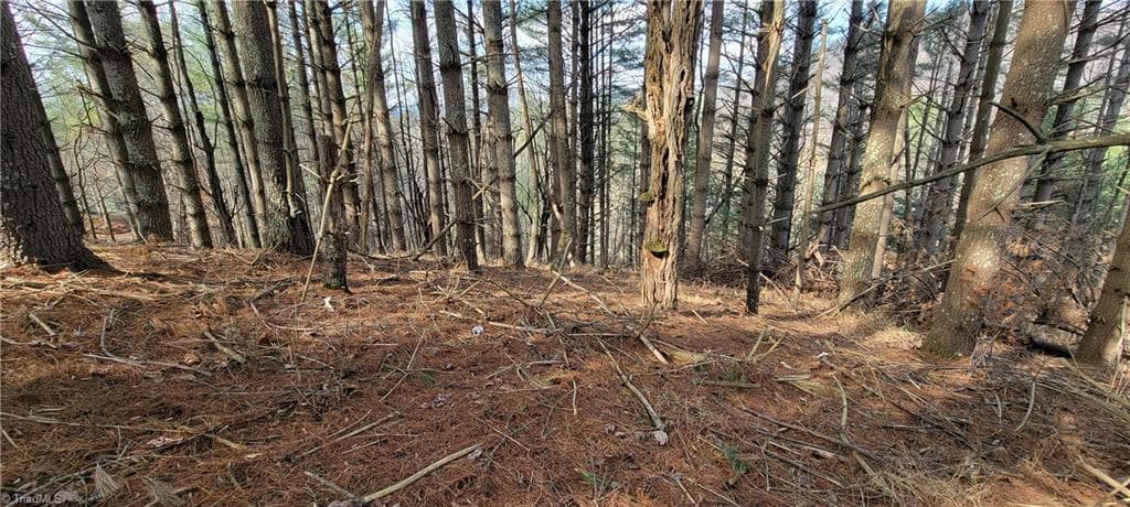 Unimproved Land at TBD (Lots 25/26/27) Miriam Way, Piney Creek NC 28663, photo 10 of 29