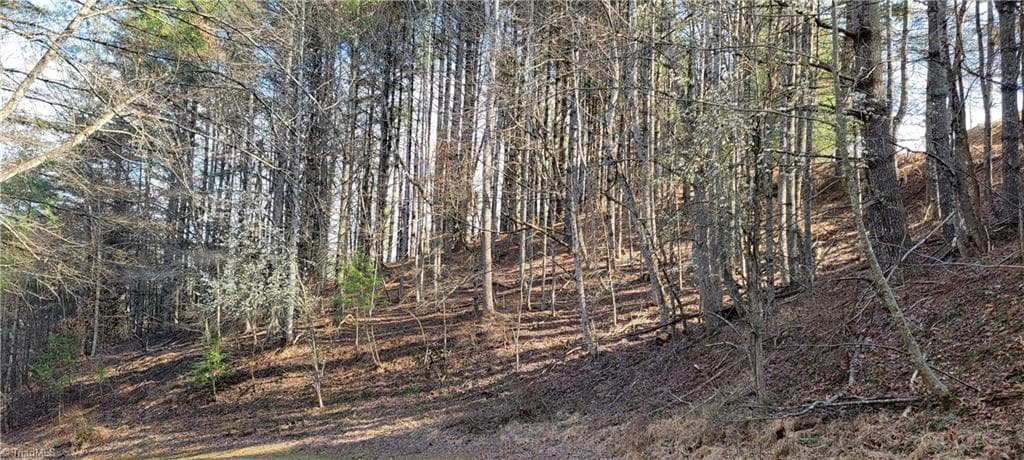 Unimproved Land at TBD (Lots 25/26/27) Miriam Way, Piney Creek NC 28663, photo 15 of 29