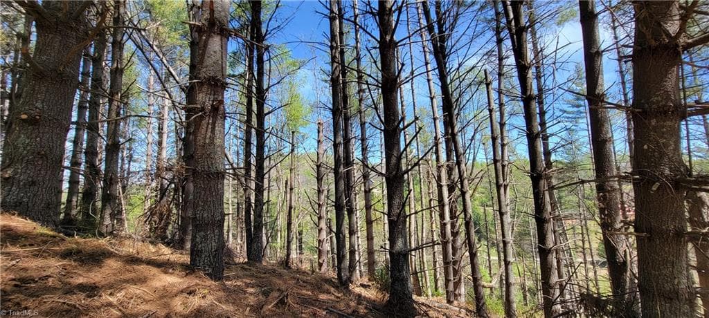 Unimproved Land at TBD (Lots 25/26/27) Miriam Way, Piney Creek NC 28663, photo 11 of 29