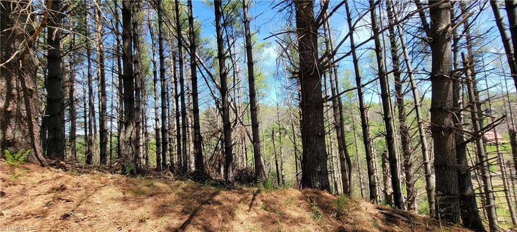 Unimproved Land at TBD (Lots 25/26/27) Miriam Way, Piney Creek NC 28663, photo 8 of 29