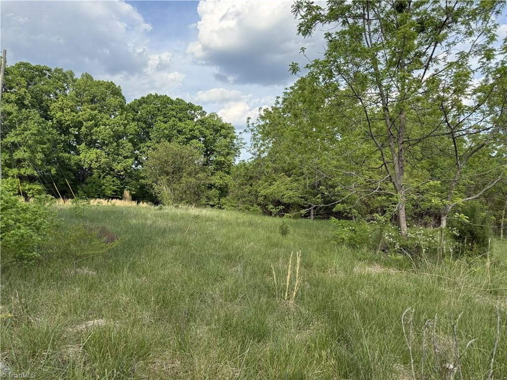 Single Family Residence at 2690 Old Mountain Road, Trinity NC 27370, photo 6 of 16