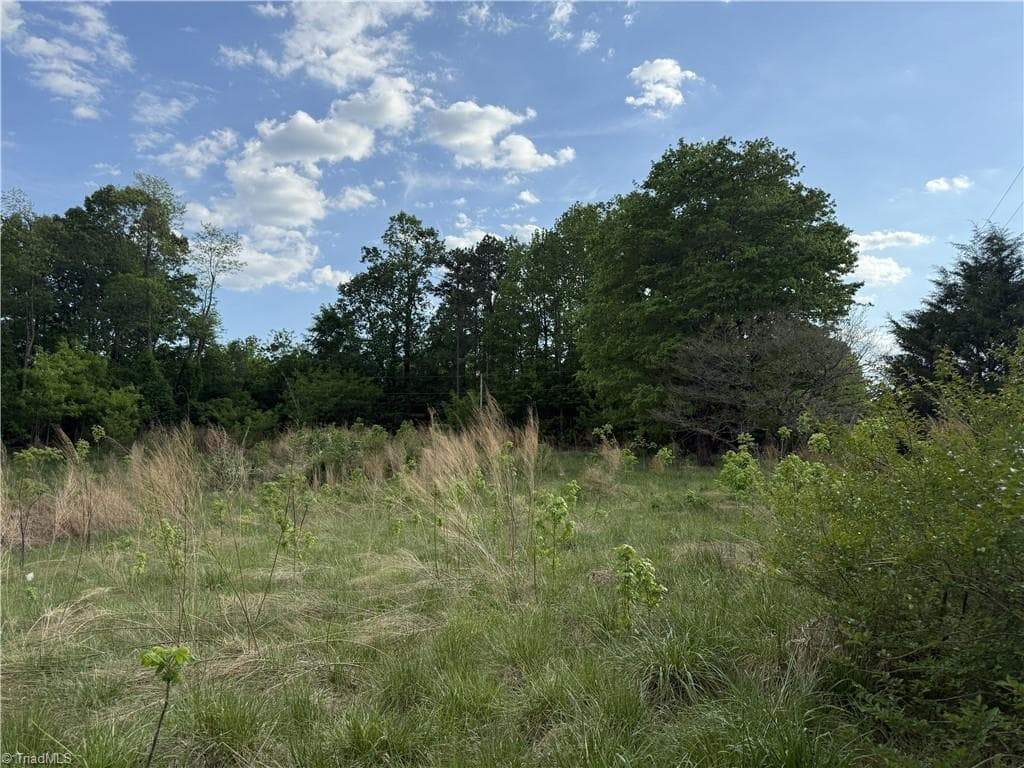Single Family Residence at 2690 Old Mountain Road, Trinity NC 27370, photo 7 of 16