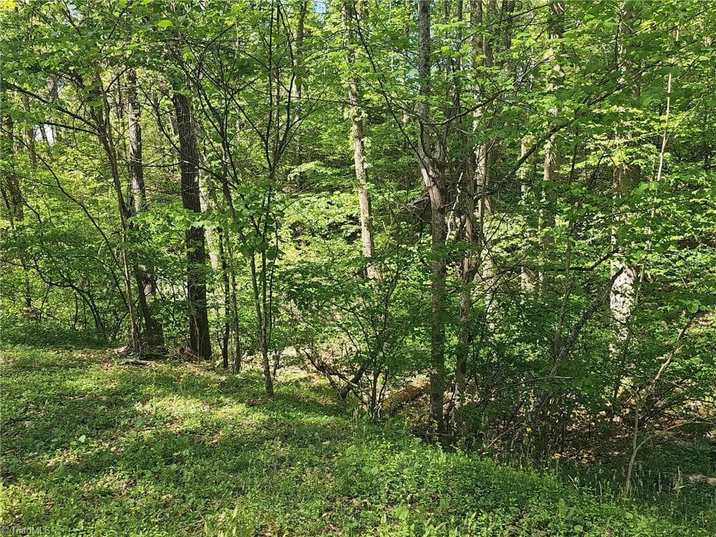 00 Rocky Lane, Wilkesboro NC 28697