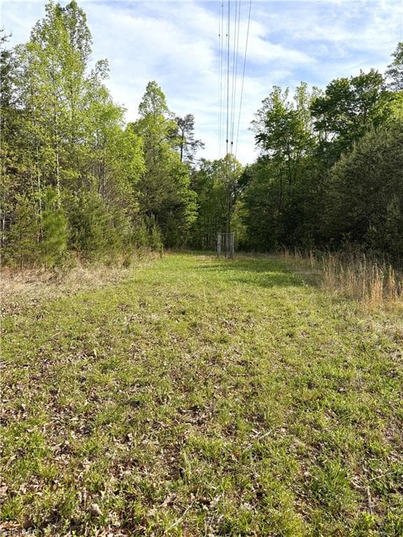 Agriculture at 521 Matrimony Road, Eden NC 27288, photo 23 of 36