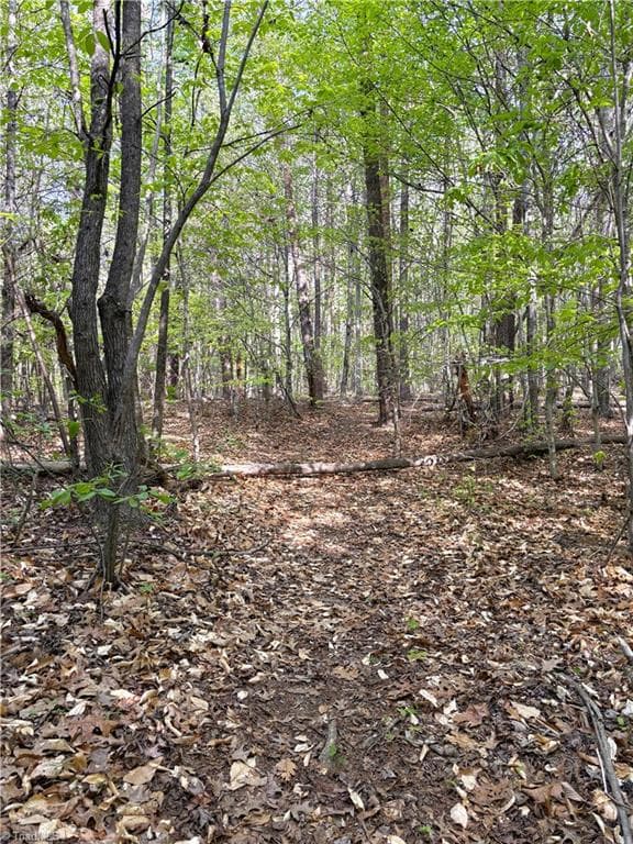 Agriculture at 521 Matrimony Road, Eden NC 27288, photo 27 of 36