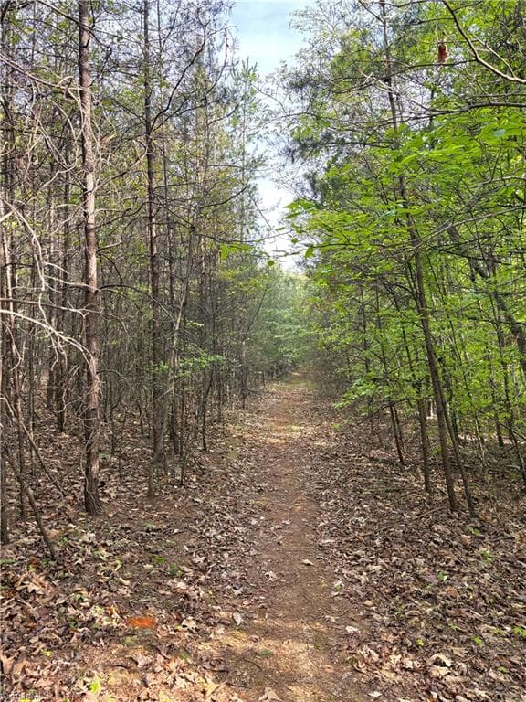 Agriculture at 521 Matrimony Road, Eden NC 27288, photo 26 of 36