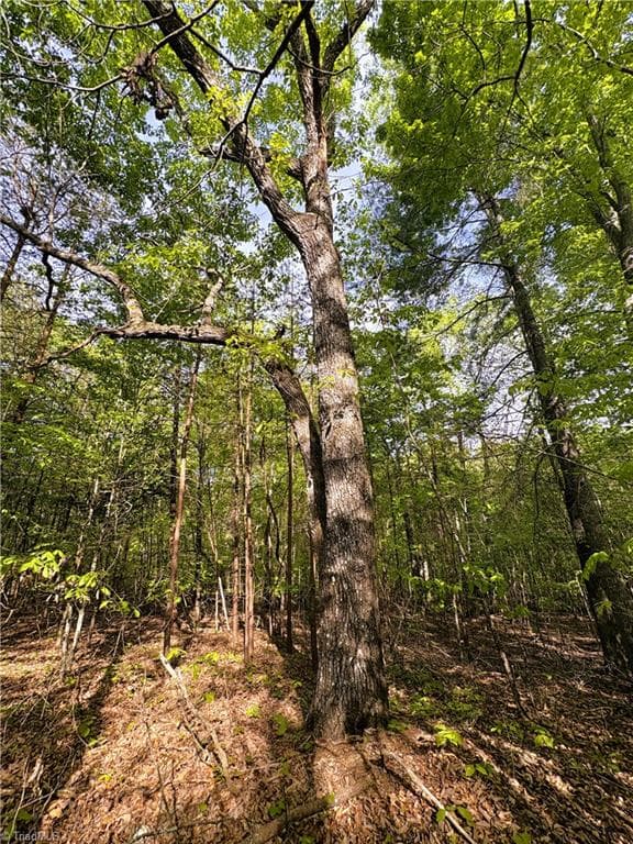 Agriculture at 521 Matrimony Road, Eden NC 27288, photo 22 of 36