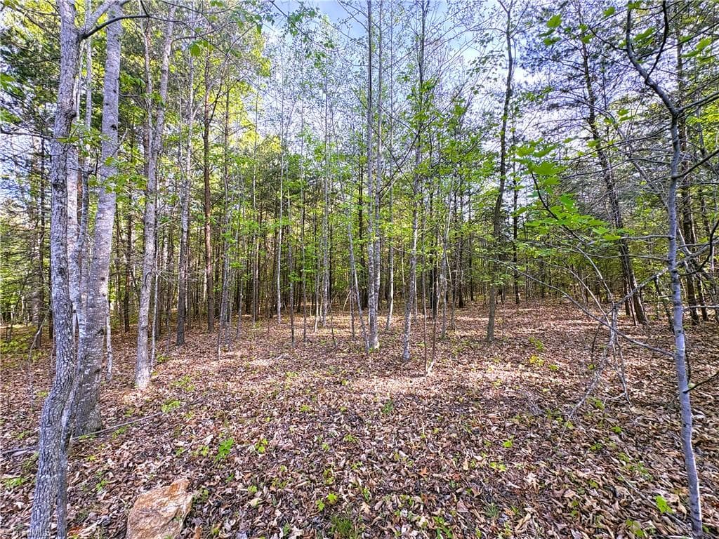 521 Matrimony Road, Eden NC 27288