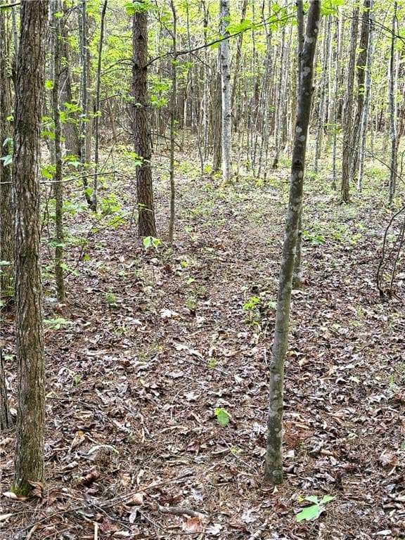 Agriculture at 521 Matrimony Road, Eden NC 27288, photo 20 of 36