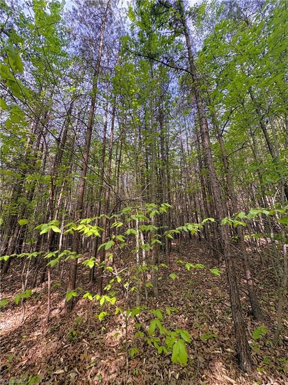 Agriculture at 521 Matrimony Road, Eden NC 27288, photo 30 of 36