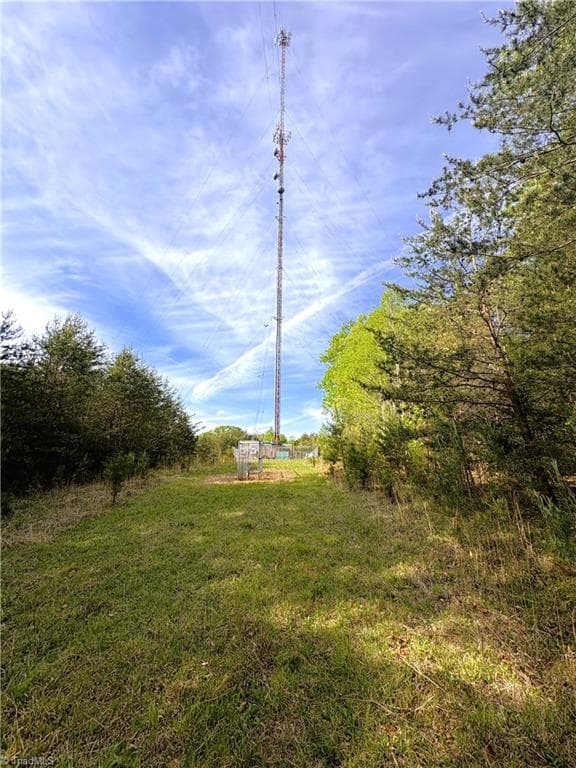 Agriculture at 521 Matrimony Road, Eden NC 27288, photo 34 of 36
