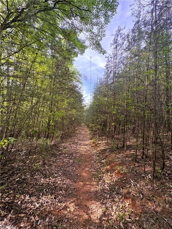 Agriculture at 521 Matrimony Road, Eden NC 27288, photo 33 of 36