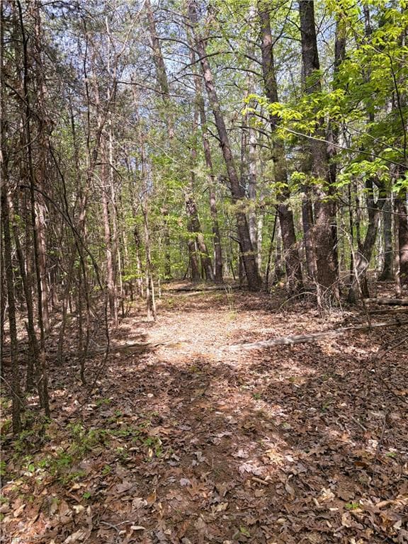 Agriculture at 521 Matrimony Road, Eden NC 27288, photo 29 of 36