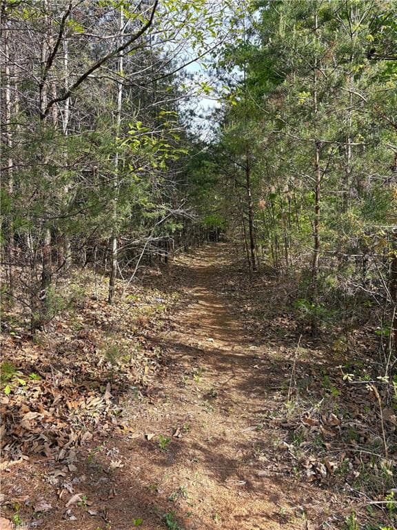 Agriculture at 521 Matrimony Road, Eden NC 27288, photo 25 of 36