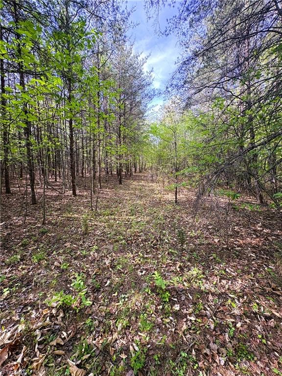 Agriculture at 521 Matrimony Road, Eden NC 27288, photo 21 of 36
