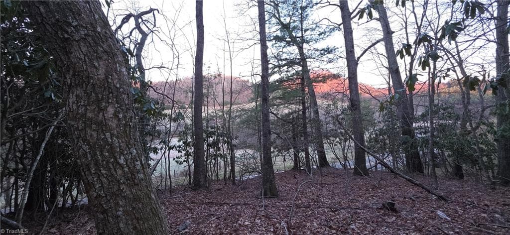 Unimproved Land at 0 Air Bellows Gap Road, Sparta NC 28675, photo 2 of 13