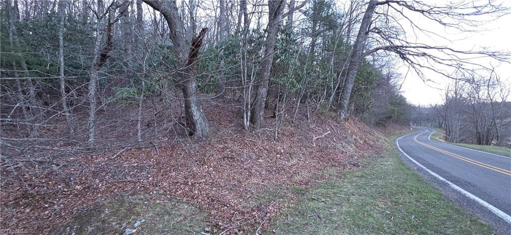 Unimproved Land at 0 Air Bellows Gap Road, Sparta NC 28675, photo 6 of 13