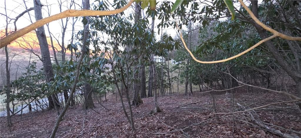 Unimproved Land at 0 Air Bellows Gap Road, Sparta NC 28675, photo 13 of 13