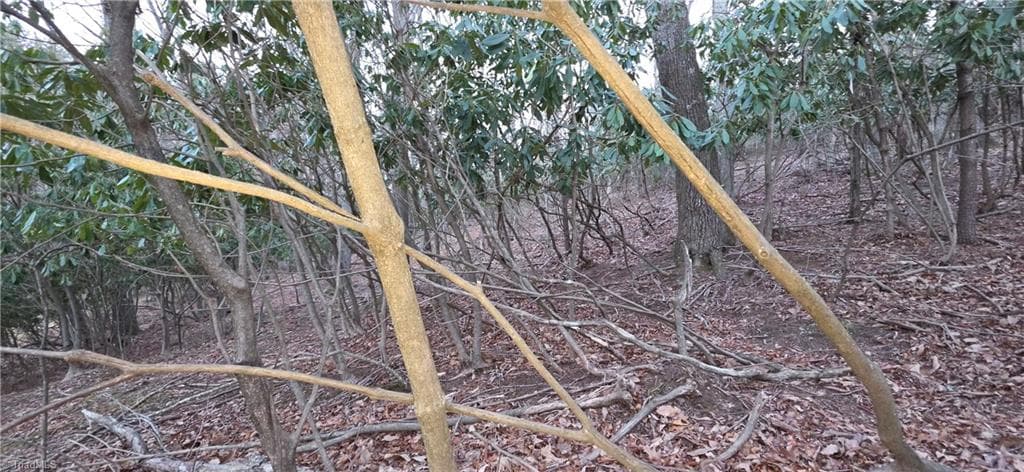 Unimproved Land at 0 Air Bellows Gap Road, Sparta NC 28675, photo 12 of 13