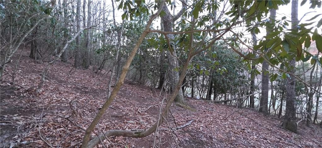 Unimproved Land at 0 Air Bellows Gap Road, Sparta NC 28675, photo 10 of 13