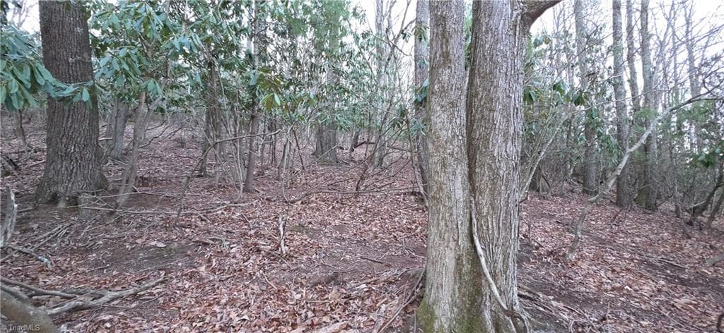 Unimproved Land at 0 Air Bellows Gap Road, Sparta NC 28675, photo 11 of 13