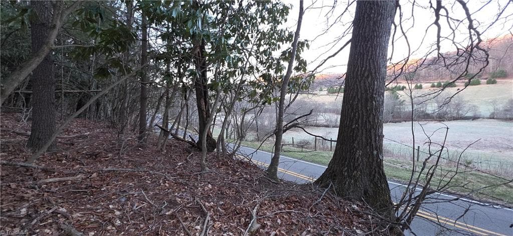 Unimproved Land at 0 Air Bellows Gap Road, Sparta NC 28675, photo 4 of 13