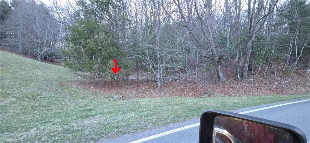 Unimproved Land at 0 Air Bellows Gap Road, Sparta NC 28675, photo 8 of 13