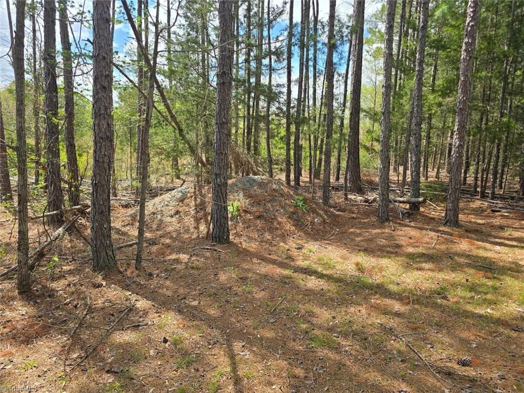 Unimproved Land at 0 Riverside Road, Seagrove NC 27341, photo 6 of 12