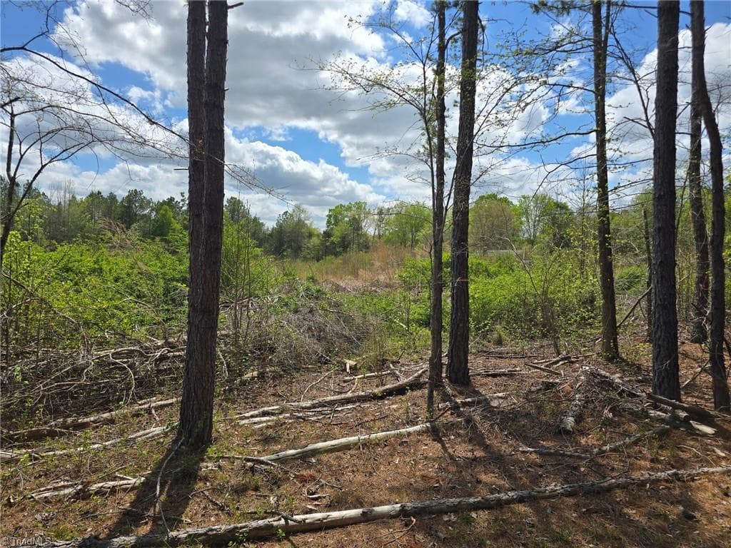Unimproved Land at 0 Riverside Road, Seagrove NC 27341, photo 12 of 12