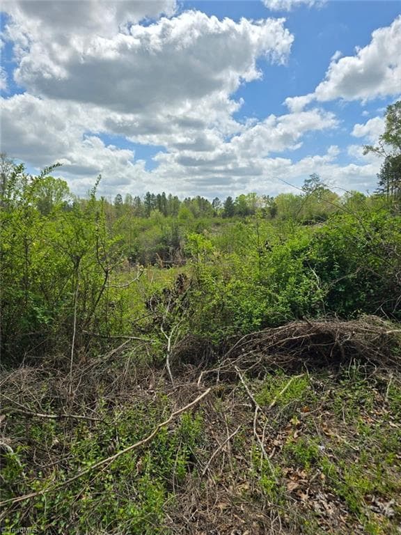 Unimproved Land at 0 Riverside Road, Seagrove NC 27341, photo 7 of 12