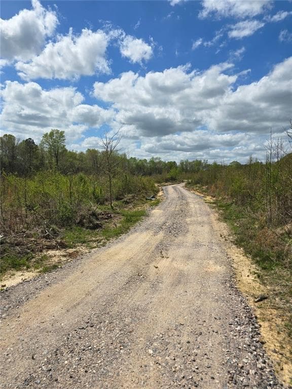 Unimproved Land at 0 Riverside Road, Seagrove NC 27341, photo 3 of 12