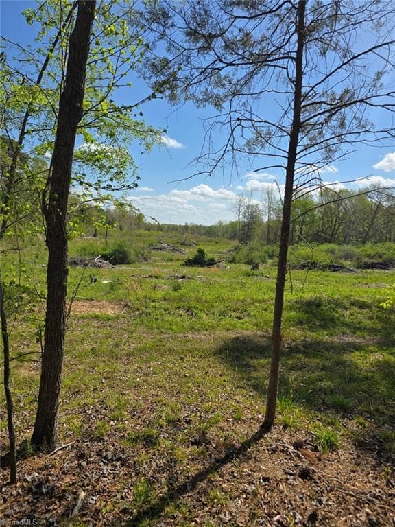 Unimproved Land at 0 Riverside Road, Seagrove NC 27341, photo 5 of 12