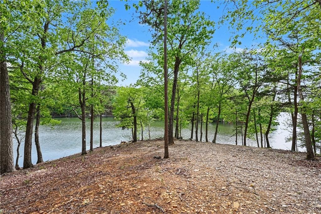 Stick/Site Built at 1629 Healing Springs Drive, Denton NC 27239, Denton, photo 71 of 94