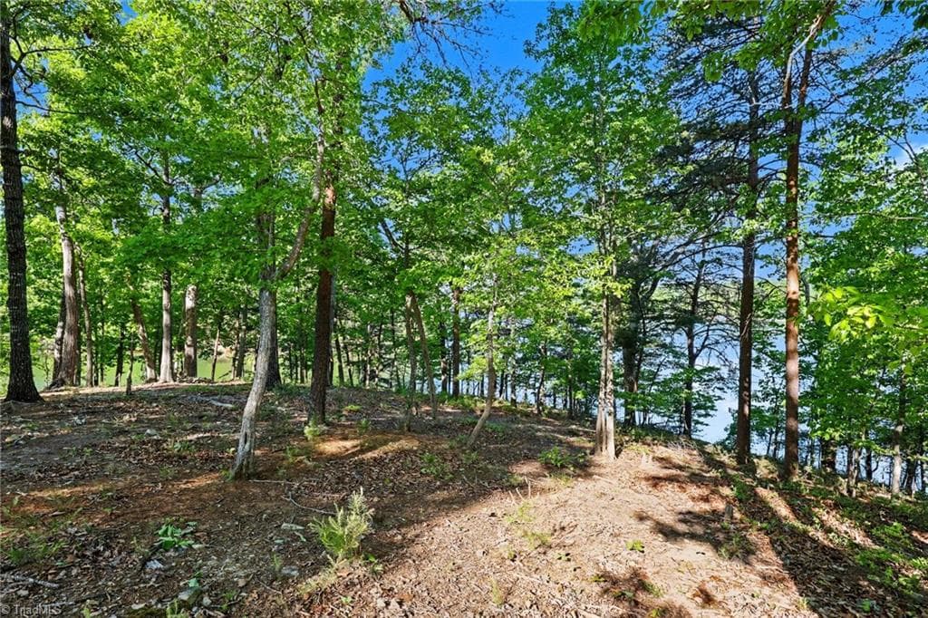 Stick/Site Built at 1629 Healing Springs Drive, Denton NC 27239, Denton, photo 75 of 94